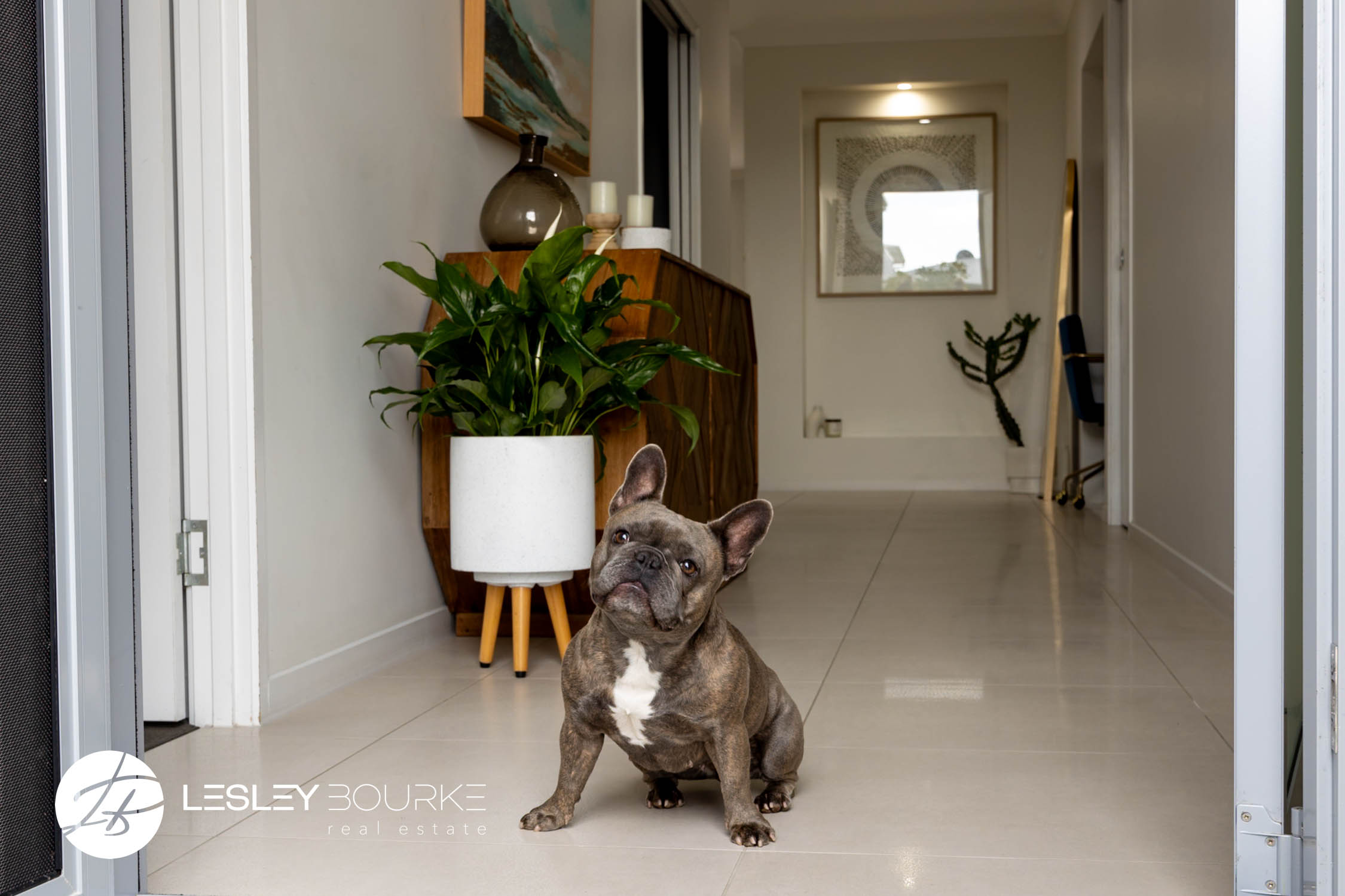 26 Newry Street Mountain Creek QLD -Lesley Bourke Real Estate